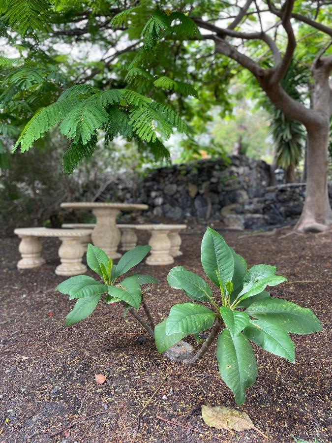 Casa Morera Fuencaliente de la Palma Dış mekan fotoğraf